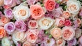 Multicolor pastel roses for bridal arrangement Royalty Free Stock Photo