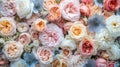 Multicolor pastel roses for bridal arrangement Royalty Free Stock Photo