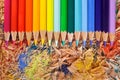 Multicolor pencils raibow on the shavings Royalty Free Stock Photo