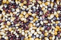 Multicolor Popcorn Kernel Background Royalty Free Stock Photo