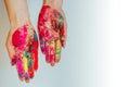 Multicolor powdered paints on palms. Concept of Holi, Indian spring festival. Image of women`s hands on white background, copy