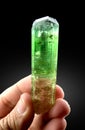 multicolor tourmaline elbaite crystal mineral specimen from Afghanistan