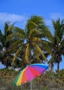 Multicolor Umbrella Installed On A Florida Beach