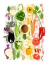 Multicolor Vegetable Abstract Mix Royalty Free Stock Photo