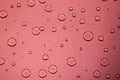 multicolor water background with bubbles . Macro olive oil on pink background
