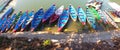 Multicolore tourist boats on pier of Lake Pheva Royalty Free Stock Photo