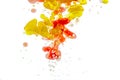 Macro shoot moving paint drops of bubbles liquid ink paint. Royalty Free Stock Photo