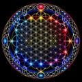 Multicolored abstraction, flower of life.