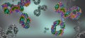 Multicolored antibodies or immunoglobulin protein structures