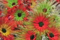 Multicolored artificial flowers beautiful background