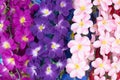 Multicolored artificial orchids as background