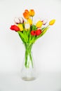 multicolored artificial tulips in a transparent glass vase on a white background