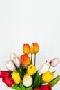 multicolored artificial tulips on a white background.