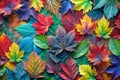 Multicolored Autumn Leaves Abstract Pattern Design Royalty Free Stock Photo