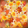 Multicolored autumn leaves on a bright background.autumn background.