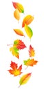 Multicolored autumn leaves falling isolated on white background. Generative AI illustration