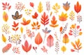 Multicolored autumn leaves, herbs and tree branches, collection of digital illustrations isolated on white. Generative AI