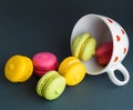 Multicolored baked cakes of almond flour macarons