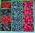 Multicolored berries in a box Royalty Free Stock Photo