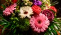 Multicolored blooming spring flower bouquet with red rose pink buttercup and white and pink gerbera. Royalty Free Stock Photo