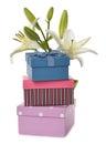 Multicolored boxes and lily