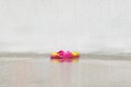 Multicolored bright beach plastic slippers stand near the water streams of the city fountain. Splashes of falling water on the str Royalty Free Stock Photo