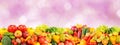 Multicolored bright fruits and vegetables on lilac background