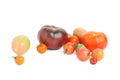 Multicolored, bright tomatoes on a white background, isolated.