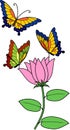 Multicolored butterflies on pink flower with green leaves