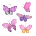 Multicolored butterflies set watercolor illustration violet, pink, blue, red, yellow, simple hand drawn colorful clipart for cards