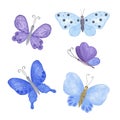 Multicolored butterflies set watercolor illustration violet, pink, blue, red, yellow, simple hand drawn colorful clipart for cards