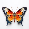 Close-up Photograph Of Vibrant Orange And Blue Butterfly On White Background