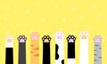 Multicolored cat paws. Flat design. Cute cat paws wallpaper