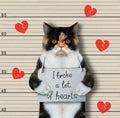 Cat broke a lot of hearts 4 Royalty Free Stock Photo