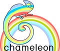 Multicolored chameleon on rainbow