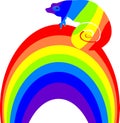Multicolored chameleon on a rainbow
