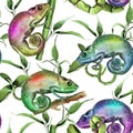 Multicolored chameleons in bamboo leaves watercolor seamless pattern