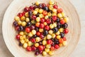 Multicolored cherries on bowl. White and red cherries. Close up shot. Summer seasonal fruits. Healthy food. Selective focus Royalty Free Stock Photo