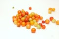 Multicolored cherry tomatoes