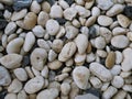 Multicolored cobblestone pebble background.Beige vintage color