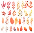 Multicolored collection of leaves and tree branches isolated on white background. Watercolor style generative AI illustration