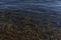 Multicolored colored gold green red pebbles in the clear blue water of lake baikal, shore,