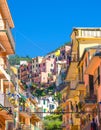 Multicolored colorful buildings houses with flags rows, balconies of Manarola typical traditional fishing village National park Ci