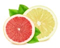 Multicolored composition with slices of citrus fruits isolated on a white background. Royalty Free Stock Photo