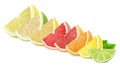 Multicolored composition with slices of different citrus fruits isolated on a white background. Royalty Free Stock Photo