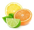 Multicolored composition with slices of different citrus fruits isolated on a white background. Royalty Free Stock Photo