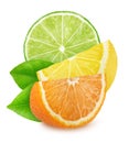 Multicolored composition with slices of different citrus fruits isolated on a white background. Royalty Free Stock Photo