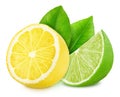 Multicolored composition with slices of sour citrus fruits - lime and lemon isolated on a white background.