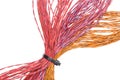 Multicolored computer cable with cable ties Royalty Free Stock Photo