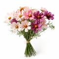 Multicolored Cosmos Flower Bouquet With Twine - Vibrant And Organic Floral Arrangement